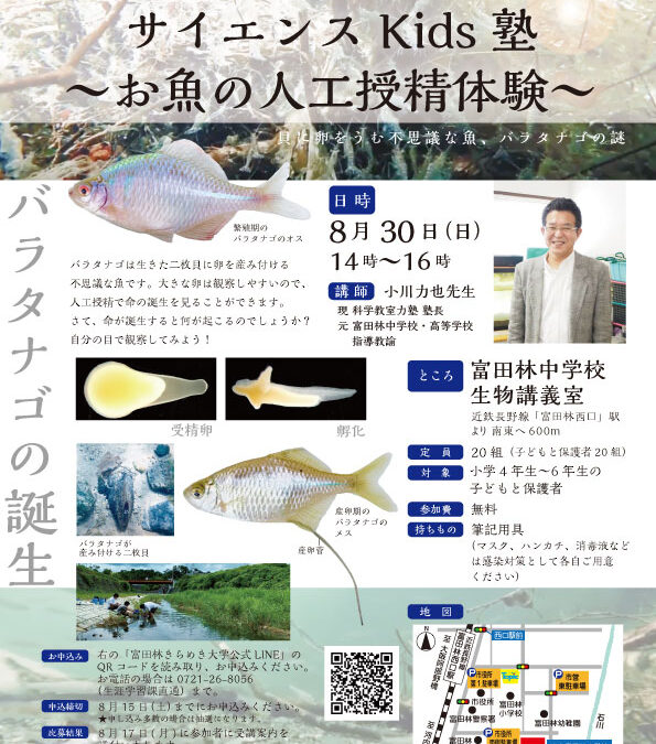 お魚の人工受精体験