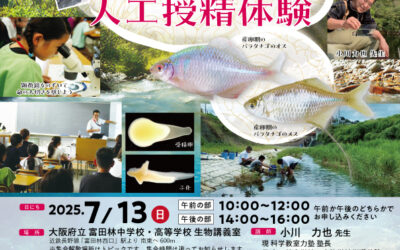 「バラタナゴの人工授精体験」講座を開催します！