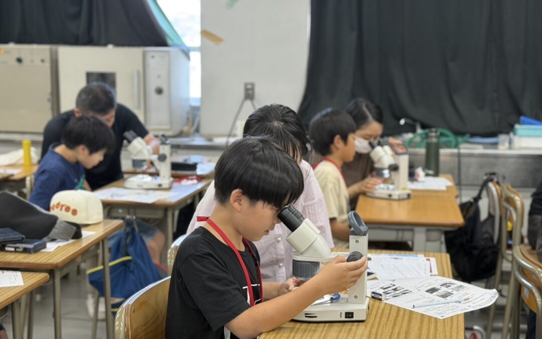 毎年大人気のバラタナゴ人工授精体験講座を開催しました🐟